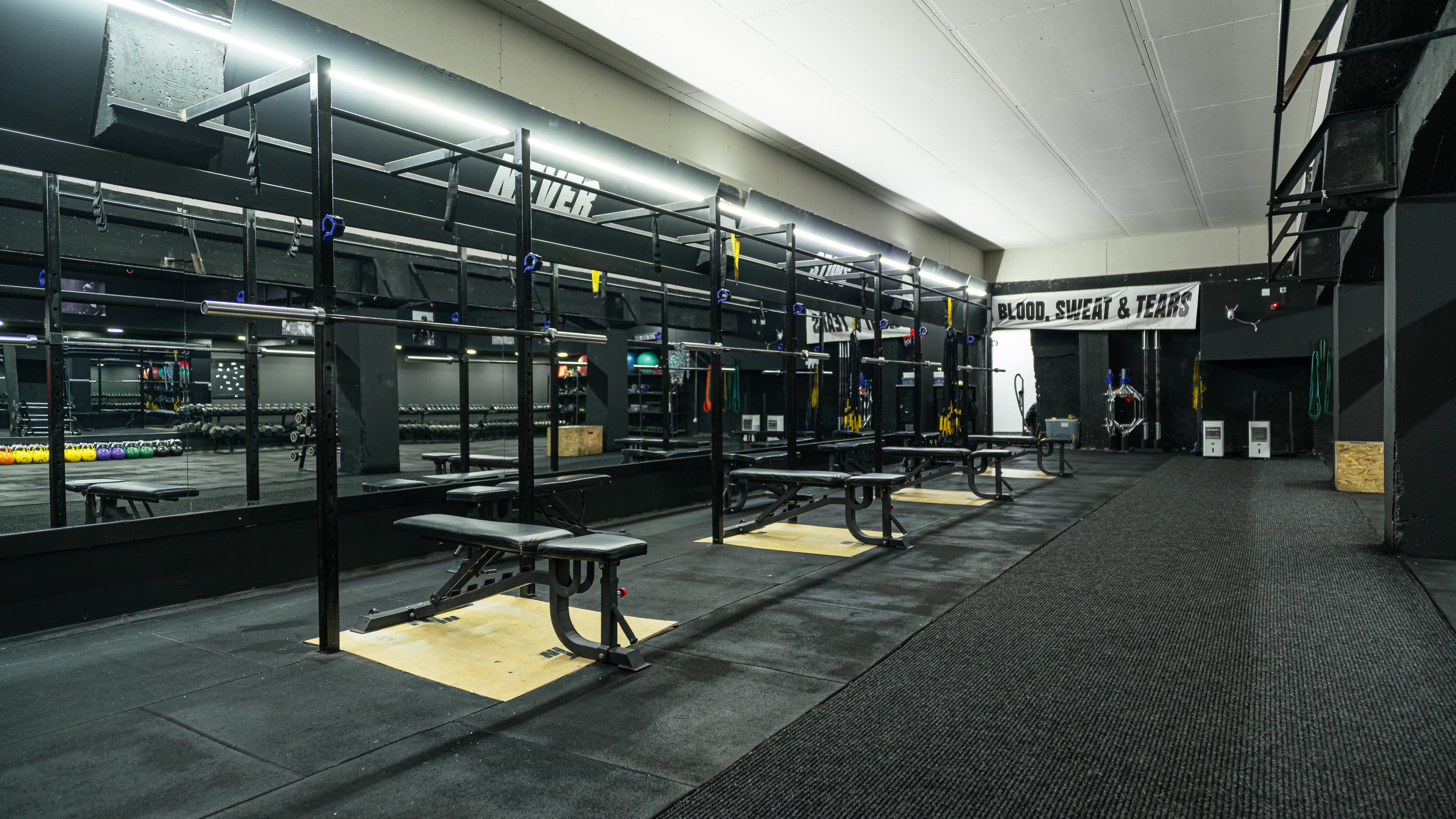 Gallery image 6