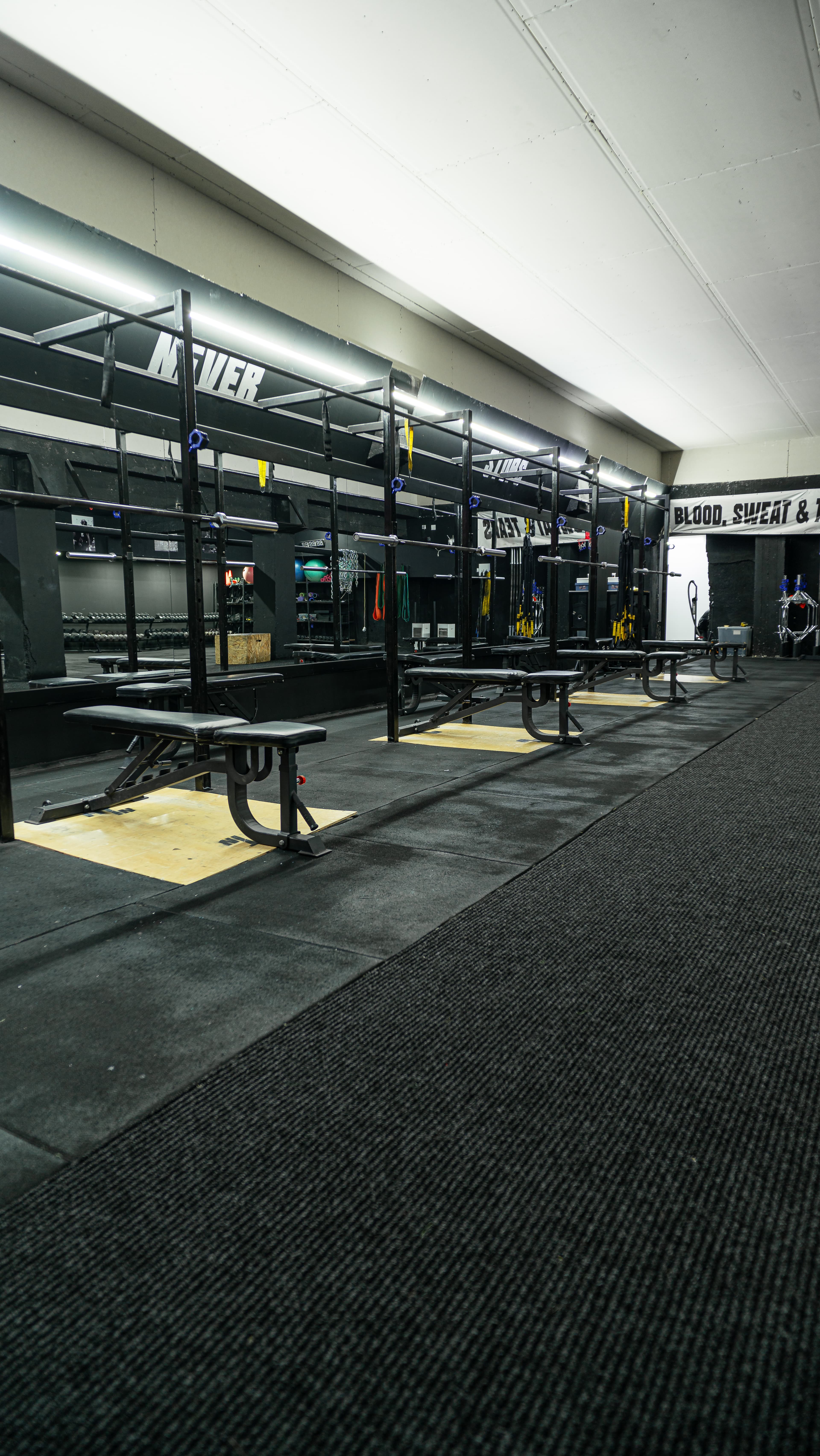 Gallery image 7